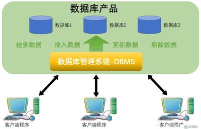 MySQL数据库 核心特点与在数据库管理中的应用